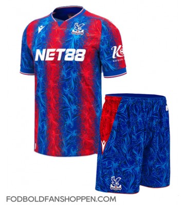 Crystal Palace Eddie Nketiah #9 Hjemmebanetrøje Børn 2024-25 Kortærmet (+ Korte bukser)